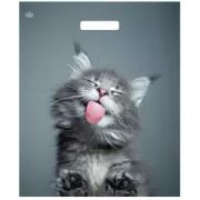 Пакет вур Кот ламинат ПВД 38х45 60мкм (50шт/500)