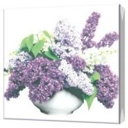 Салфетки 20л 2-х сл. Сирень 33х33 (1уп/20)