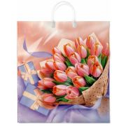 Пакет прив Элит-Пласт Белиссимо 40х44 100мкм Интер (10шт/100)