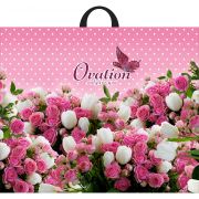 Пакет прив Овация 60х50 Интер (25шт/250)