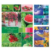 Тетрадь 96л  А4 клетка «Разноцветный Мир» скрепка