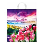 Пакет прив Просторы ПНД 38х42 40мкм Интер (25шт/500)