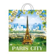 Пакет прив Цветущий город ПНД 38х42 40мкм Интер (25шт/500)